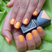 eclair MagStudio (6)